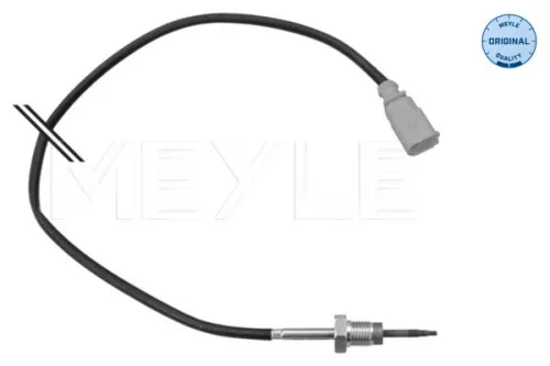 Sensor, exhaust gas temperature