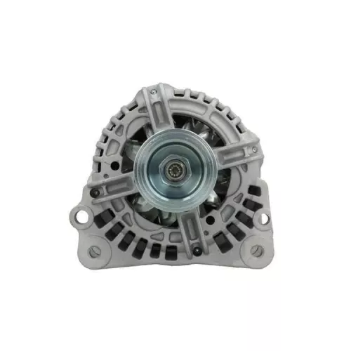 BV PSH Alternator (305.519.090.010)