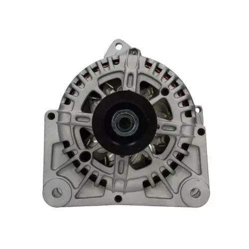 BV PSH Alternator (575.577.110.000)