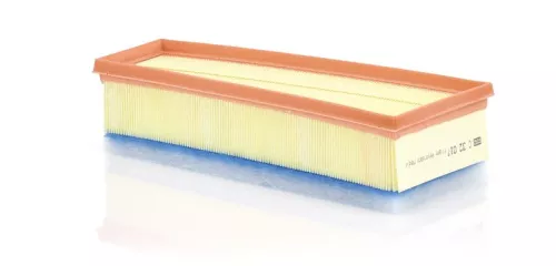 MANN-FILTER Air Filter (C32017)