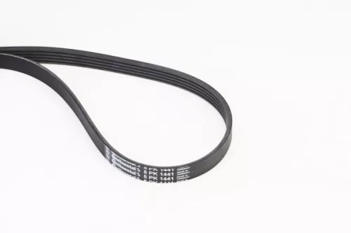 CONTINENTAL CTAM V-Ribbed Belt (5PK1441)