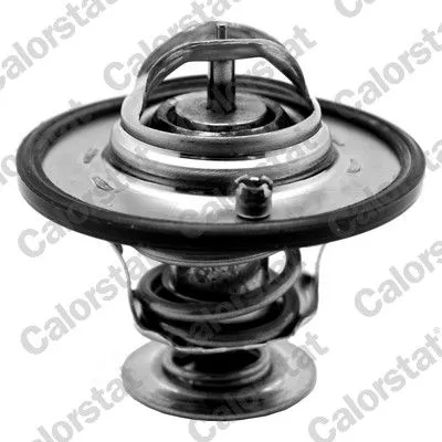 CALORSTAT by Vernet Thermostat, coolant (7341.82J)