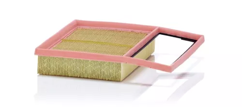 MANN-FILTER Air Filter (C24013)
