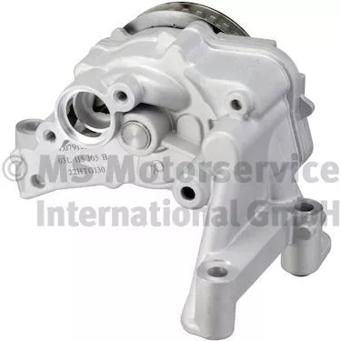 PIERBURG Oil Pump (7.07919.35.0)