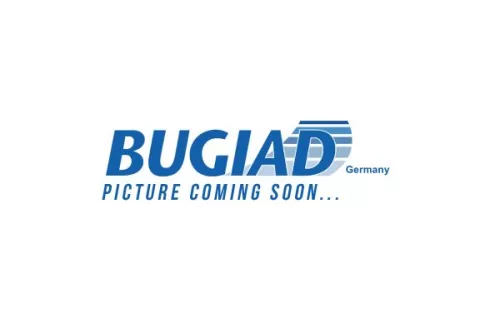 BUGIAD Steering Knuckle, wheel suspension (BSP23470PROKIT)