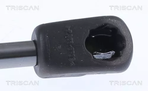 TRISCAN Gas Spring, boot/cargo area (871018244)