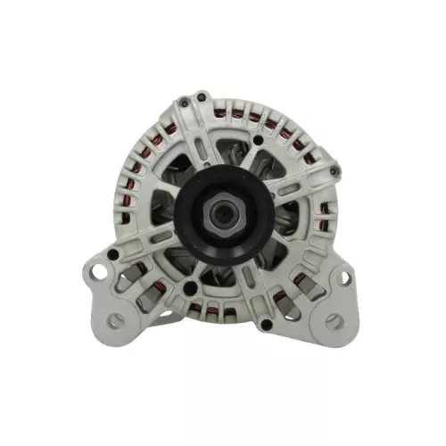 BV PSH Alternator (305.519.110.000)