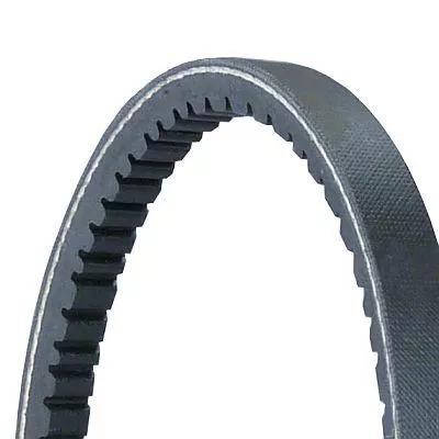 CONTINENTAL CTAM V-Belt (11,2X875Ld)