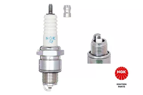 NGK Spark Plug (7022)