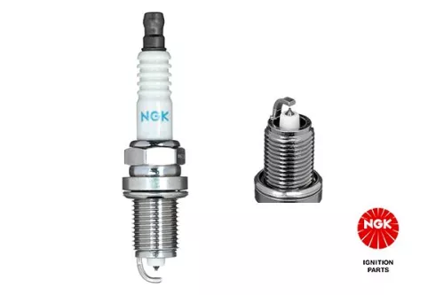 NGK Spark Plug (2550)