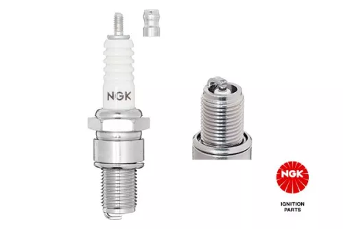 Spark Plug
