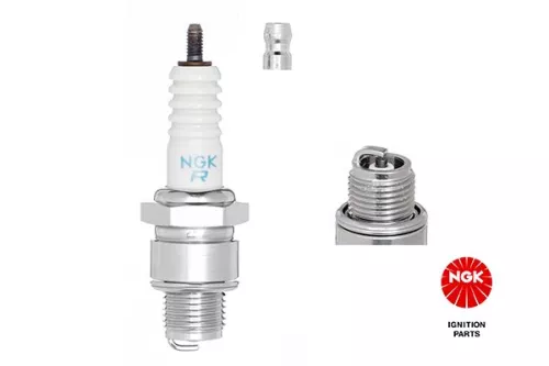 NGK Spark Plug (3922)