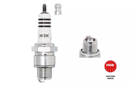 NGK Spark Plug (7001)