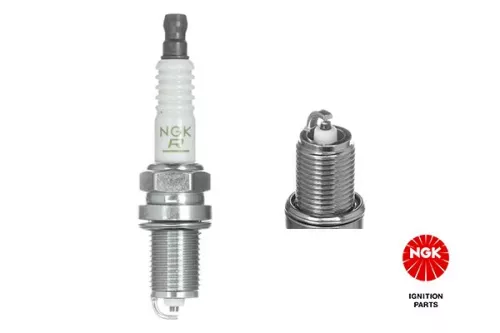 NGK Spark Plug (4619)