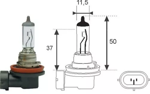 Bulb