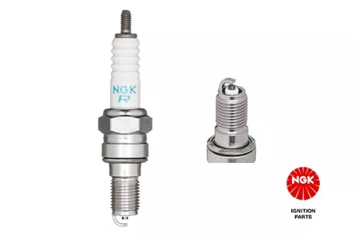 NGK Spark Plug (7750)