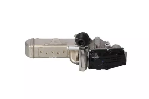NRF EGR Valve (48208)