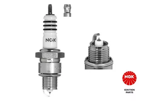 NGK Spark Plug (6742)