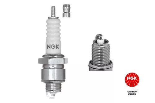NGK Spark Plug (7529)