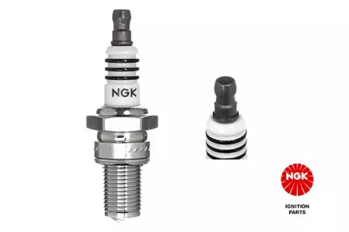 NGK Spark Plug (3006)