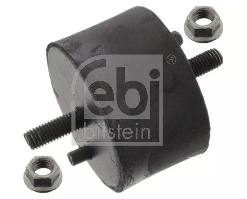 Mounting, engine