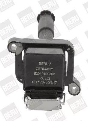 BorgWarner (BERU) Ignition Coil (ZS302)