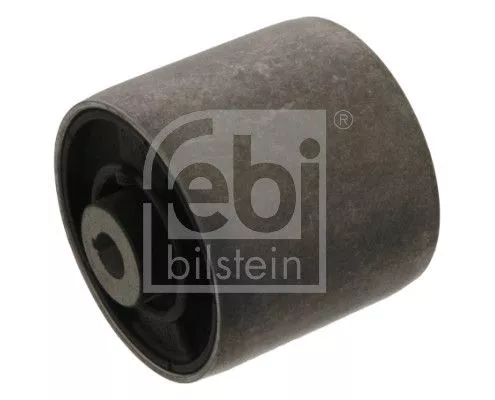 Mounting, control/trailing arm