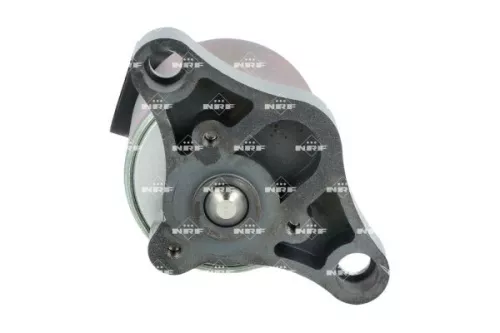 NRF EGR Valve (48394)