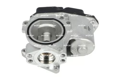 NRF EGR Valve (48389)