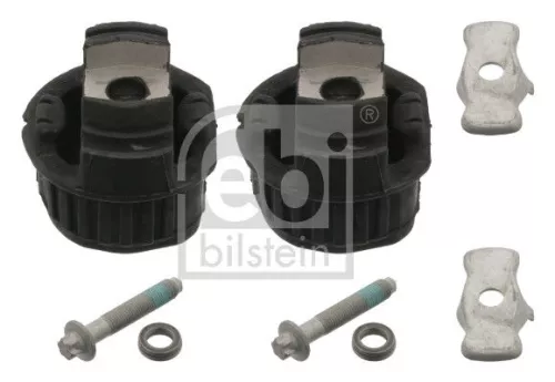 Bush Set, axle beam