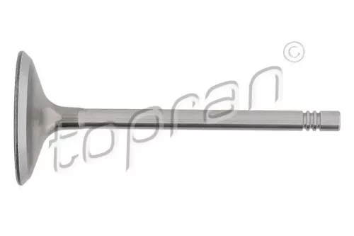 Intake Valve