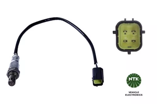 Oxygen Sensor
