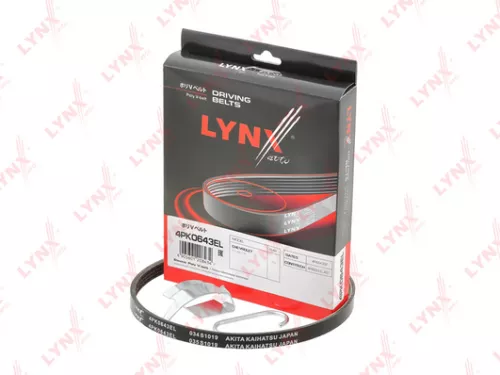 Poly V-Belt, elastic