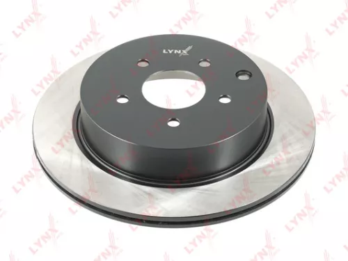 Brake disc, rear (308x16)