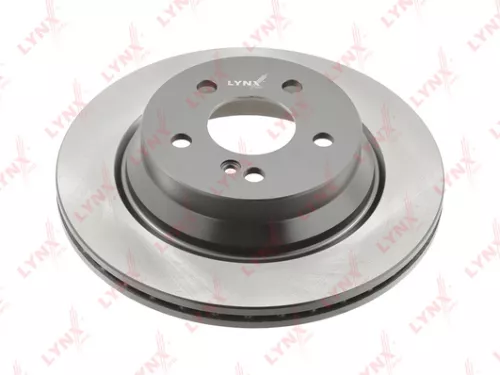 Brake disc, rear (300x22)