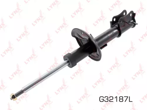 Shock absorber strut gas, left, front