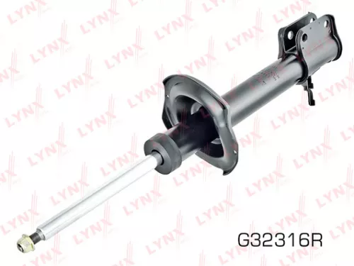 Shock absorber strut gas, right, rear