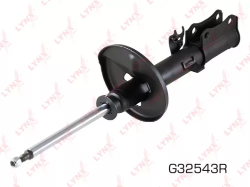Shock absorber strut gas, right, rear