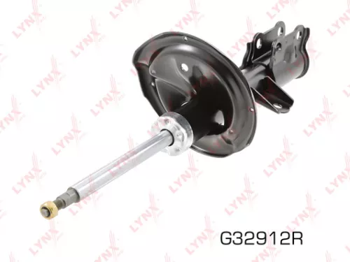 Shock absorber strut gas, right, front