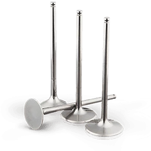 Intake Valves