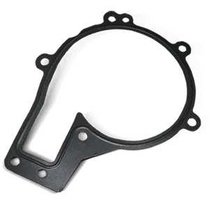 Water Pump Gasket